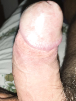 Il mio cazzo — foto 5/5