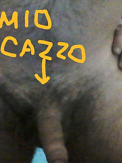 foto mie — foto 1/4