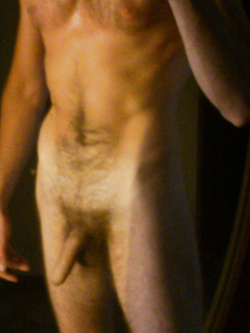 Uccello — foto 8/10