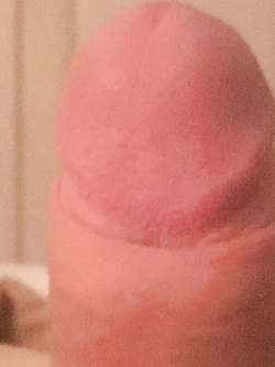 Il mio cazzo — foto 1/1