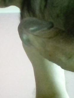 Il mio corpo nudo — foto 3/4
