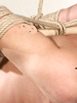 Legato — foto 1/1
