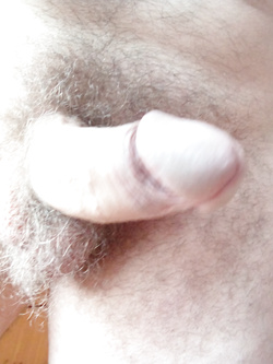 Il mio strumento — foto 1/1
