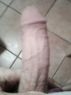 Cazzo — foto 1/1