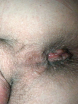 Lanfry — foto 1/1