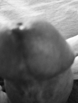 Bianco e nero — foto 5/6
