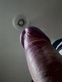 Ancora cazzo — Foto Utenti — foto 3/3