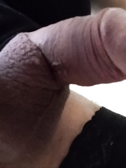 Vi piacciono? — foto 1/4