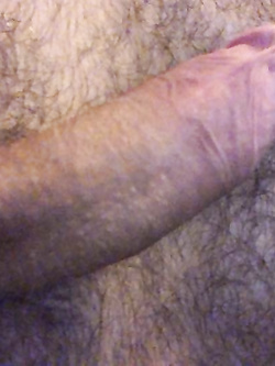 Il mio cazzo in tiro — foto 2/4
