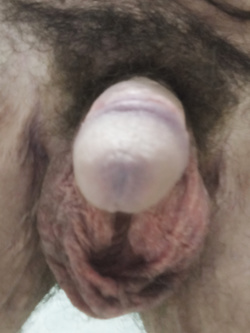 A qualcuno puo' interessare? — Foto Utenti — foto 5/6
