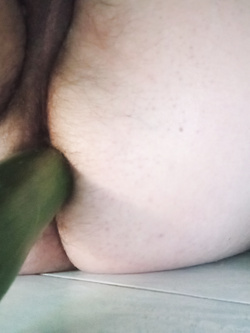 Un po' di verdura non fa mai male, ma preferisco la carne — foto 3/5