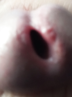 Altro buco — foto 1/1