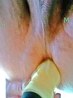 MATURO — Dildo — foto 1/1