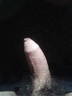 Il mio amico — foto 14/14